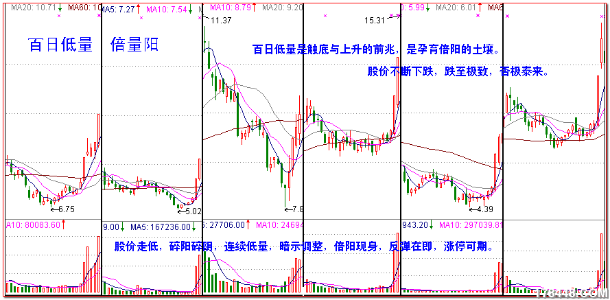 百日低量用图.png