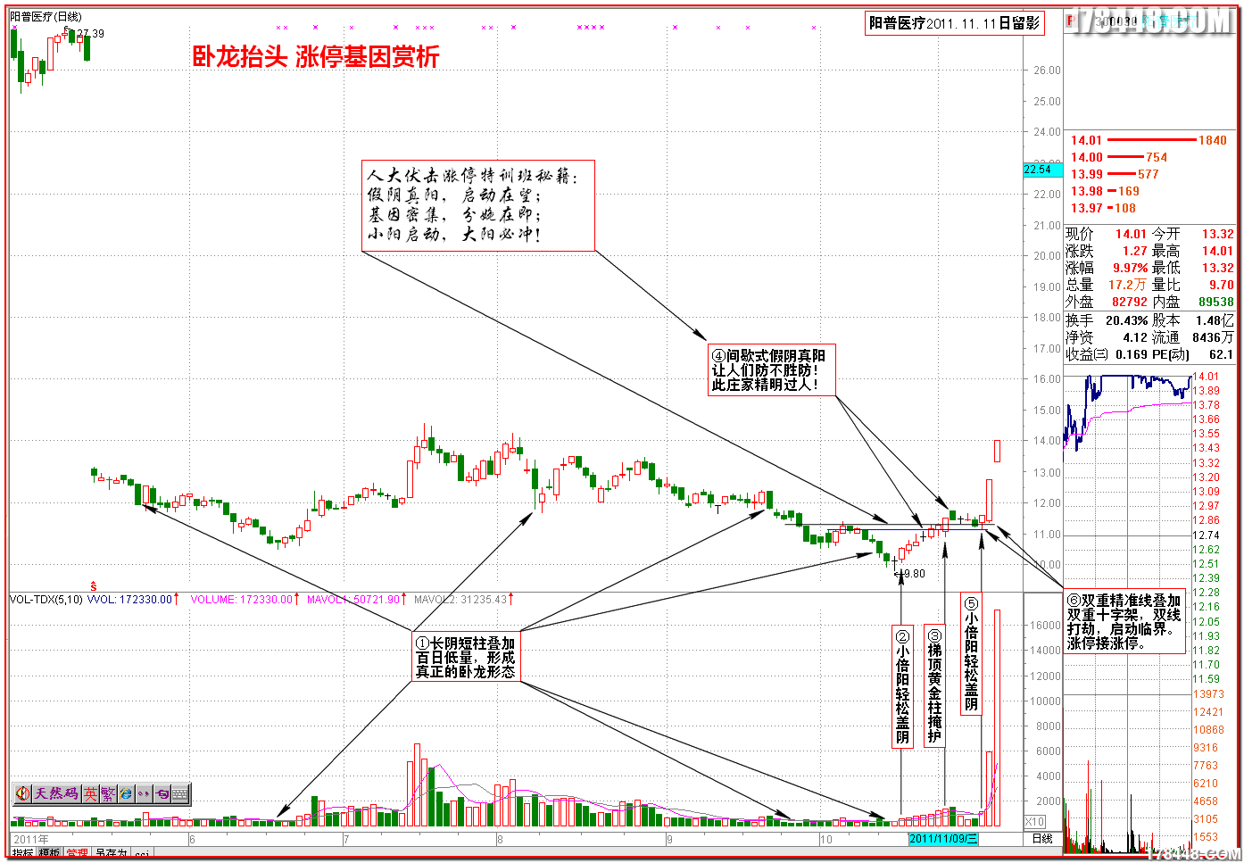 2011-11-11阳普医疗 卧龙抬头基因.png